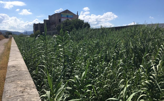 Alzira carece de protección frente a las inundaciones en el punto más conflictivo