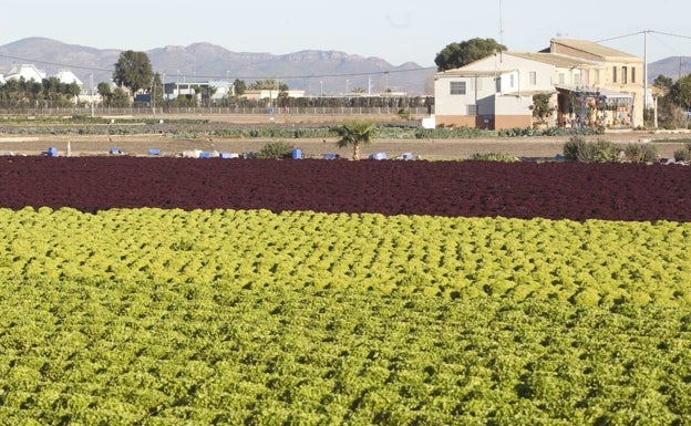 El Ayuntamiento y Agricultura piden el trazado del AVE más caro para tocar menos huerta