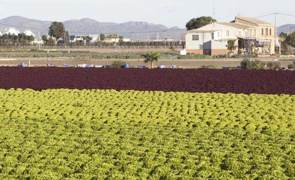 El Ayuntamiento y Agricultura piden el trazado del AVE más caro para tocar menos huerta