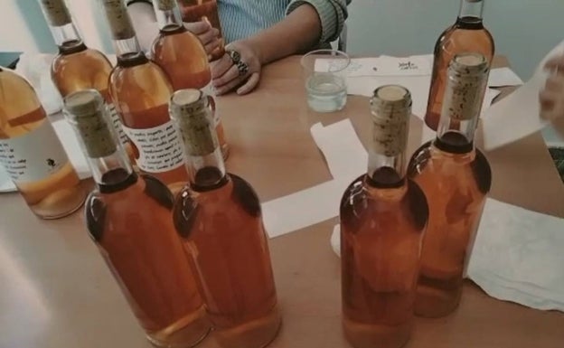 Primera cata de los vinos elaborados por los alumnos del IES Teulada