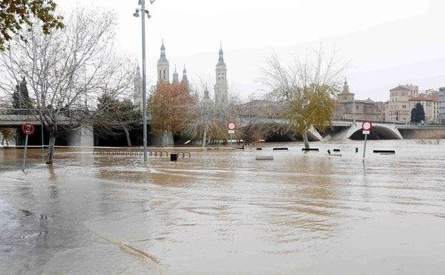 Asaja insiste en que la falta de limpieza en el río Segura puede provocar inundaciones como las del Ebro