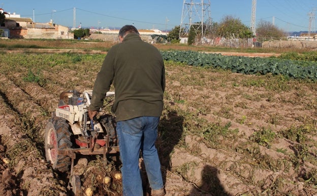 La Unió de Llauradors reclama al Consell de l'Horta el medio millón en ayudas para el sector de la comarca