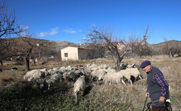 La Universidad de Alicante fija en la trashumancia el freno a la despoblación