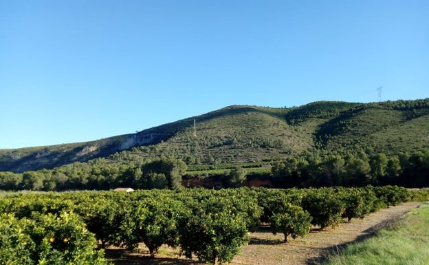 Expertos avalan el proyecto de la presa de Montesa para estudiar su conveniencia