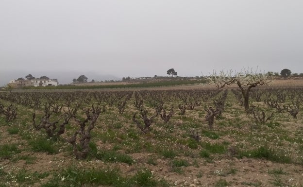 Turisme La Costera promociona nueve rutas turísticas nuevas