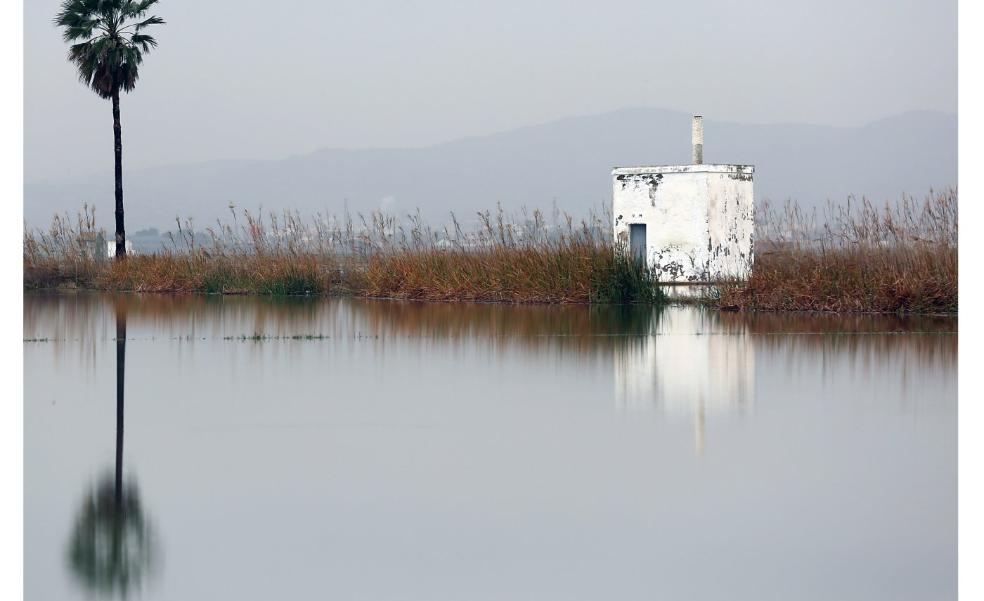 Mollà estudia asumir la tutela directa de la Albufera ante los retos inmediatos
