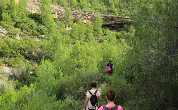 Sumacàrcer refuerza su conexión con la naturaleza