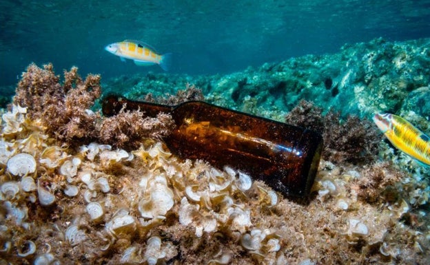 Arte con la basura de los mares valencianos