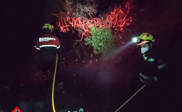 Un incendio forestal afecta a 3.000 metros cuadrados de terreno en Alcoleja