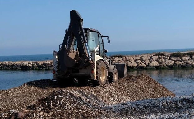Dénia y Els Poblets reconstruyen la barrera en la desembocadura del Girona y retiran restos de posidonia