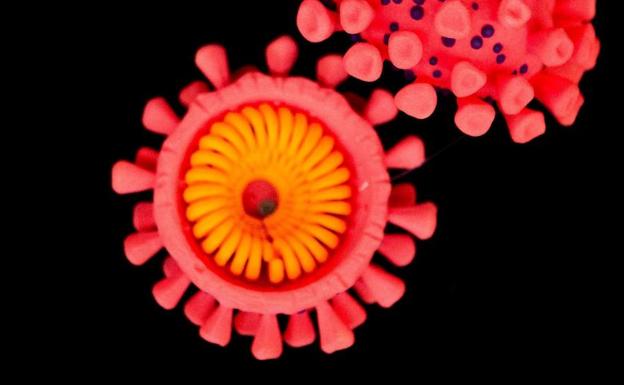 Ómicron: ¿Cuánto tiempo dura la inmunidad si te has contagiado de coronavirus?