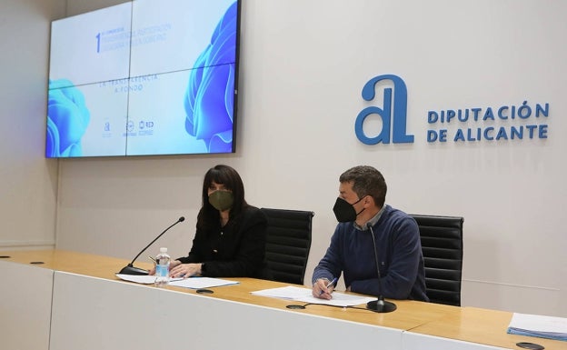 La Diputación prepara el primer congreso de transparencia, participación ciudadana y buen gobierno