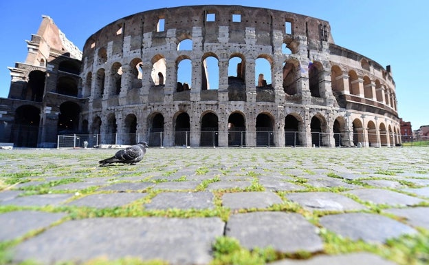 El MARQ anuncia una muestra sobre el Coliseo con piezas nunca expuestas fuera de Italia