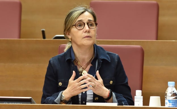 El PP, a Oltra: «Deje las excusas y asuma su responsabilidad»