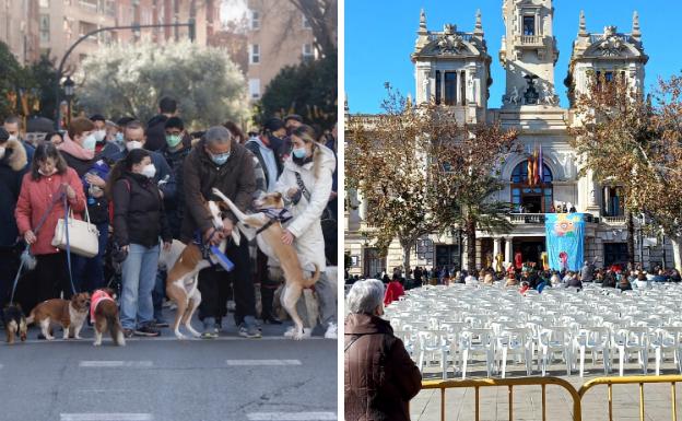 Sant Antoni pletórico, Magas desangeladas