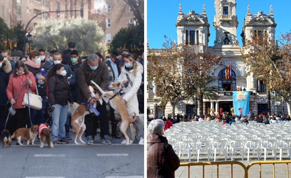 Sant Antoni pletórico, Magas desangeladas