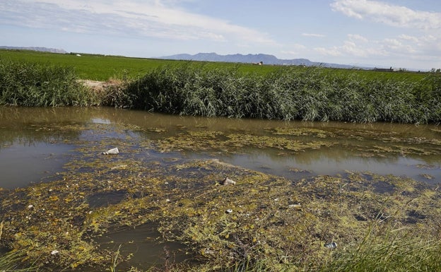 La Albufera arranca otro años sin obras, con vertidos y sin planes para llevar agua