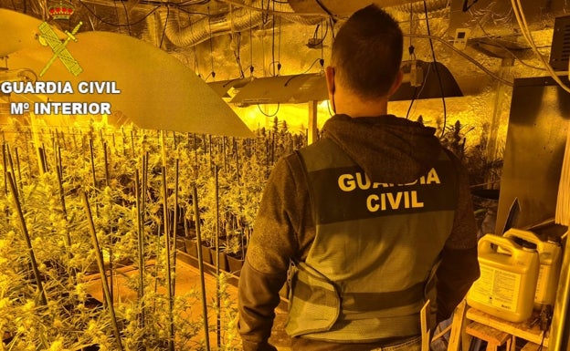 Detenido por cultivar marihuana y defraudar fluido eléctrico en Riba-roja