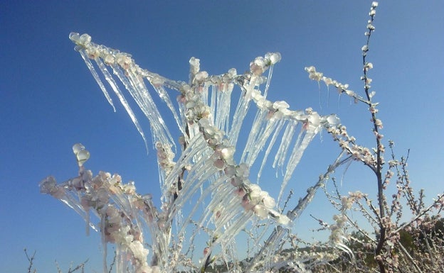 Villena y Pinoso, los municipios alicantinos con temperaturas más bajas este martes