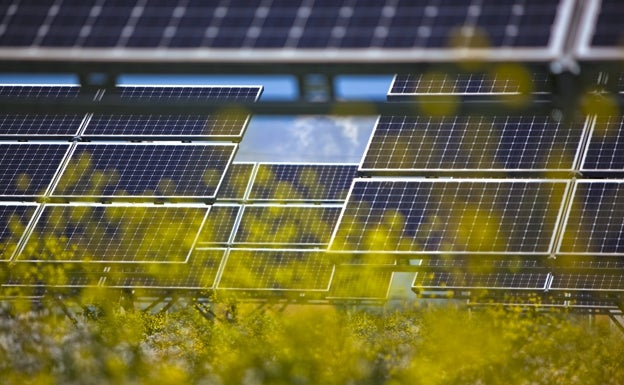 Ecologistas denuncian que el parque solar de Alzira y Catadau «destruirá» parte del paraje de la Garrofera