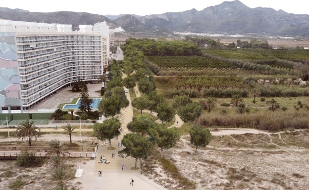 Gandia blinda l'Auir al unir Ribera Baixa a la dehesa y abrir la pinada a la ciudadanía