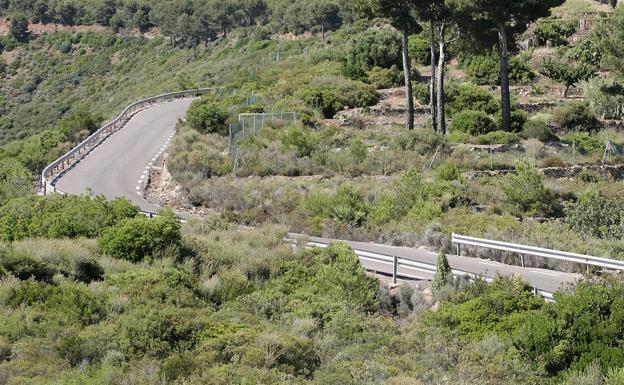 La Federación de Caza estudia acciones legales contra un vecino por irrumpir en una batida de jabalíes en Castellón