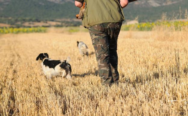 Los cazadores, contra el cupo cero para la tórtola