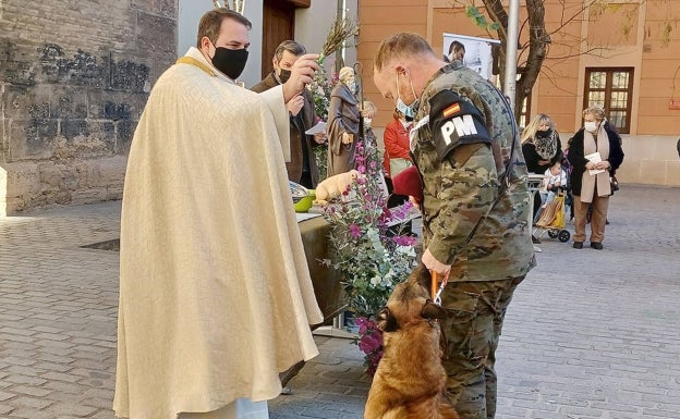 La bendición de animales por San Antonio Abad regresa a la Universidad Católica de Valencia