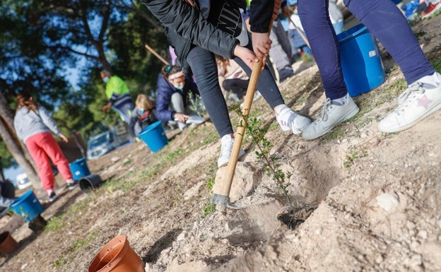 L'Alfàs del Pi involucra a la comunidad escolar en la celebración del Día del Árbol