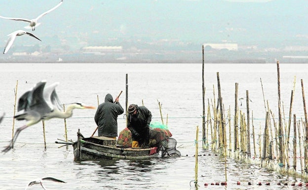 El Consell retrasa desde hace una década ampliar la protección ambiental de la Albufera