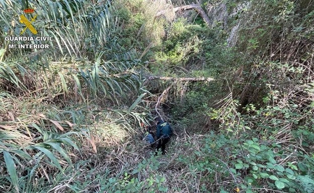 Hallan el cuerpo del residente británico desaparecido en Xàbia cerca del pantano de Bellús