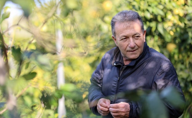 Vicent Todolí: «Habrá quien piense que soy un loco o un romántico»