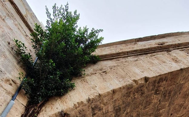 Los puentes históricos del jardín del Turia se arruinan