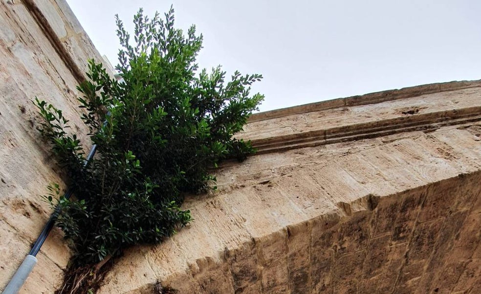 Los puentes históricos del jardín del Turia se arruinan