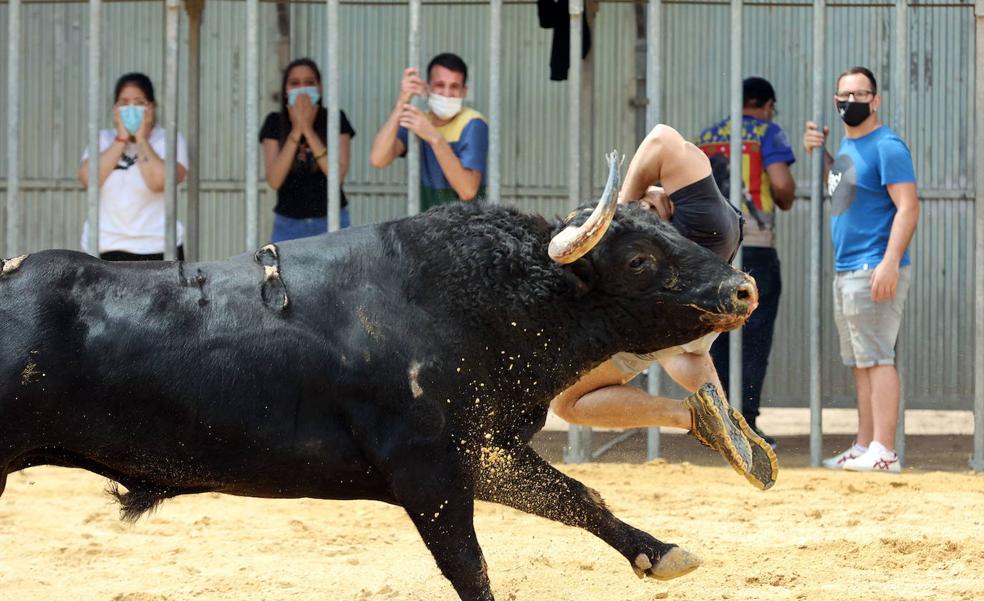 Los bous al carrer resurgen a medio gas