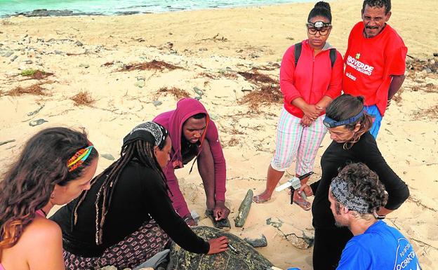 L'Oceanogràfic estudia las tortugas en Cabo Verde