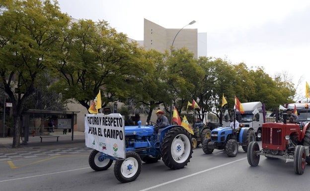 Miles de agricultores se manifiestan en Murcia en defensa del campo