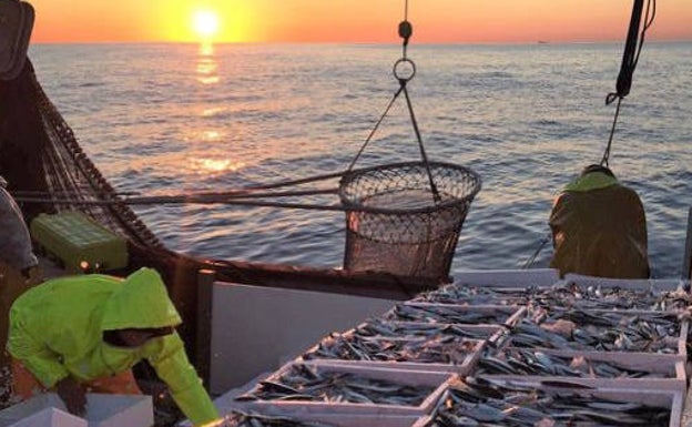 Xàbia promociona el mundo marinero y el sector de la pesca