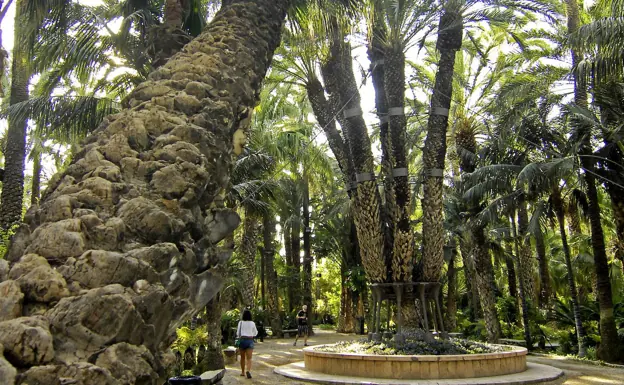 El Huerto del Cura abre el ciclo del Gil-Albert dedicado a los jardines históricos de Alicante
