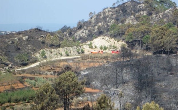 Medio millón para reforestar el tramo de Marxuquera que ardió en el incendio de 2018