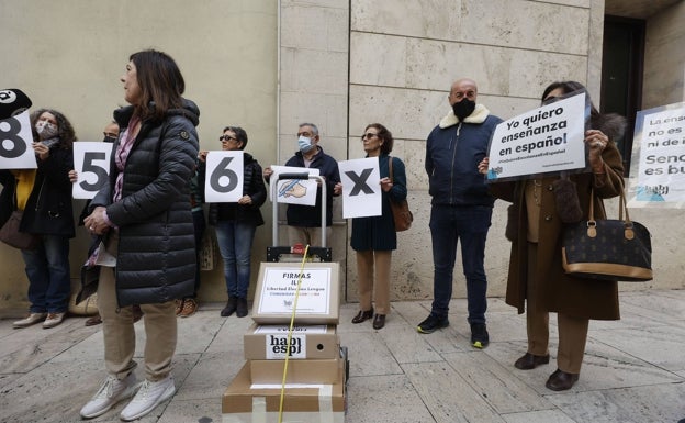 40.000 firmas contra el modelo lingüístico de Marzà que arrincona el castellano