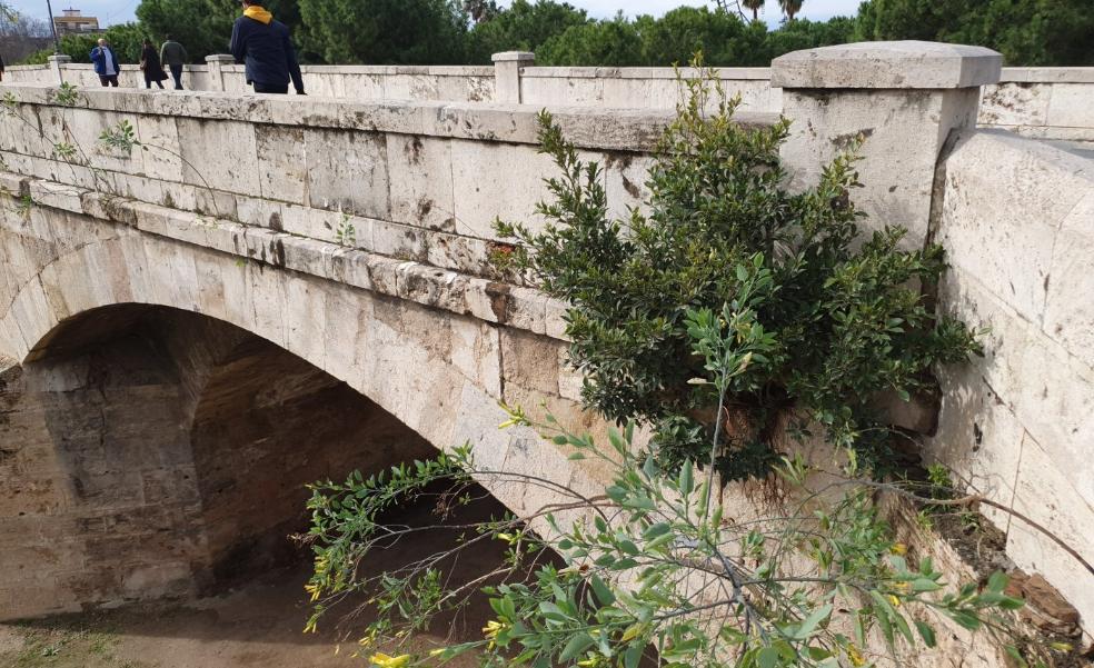 El puente de San José se degrada cinco años después de su cierre al tráfico