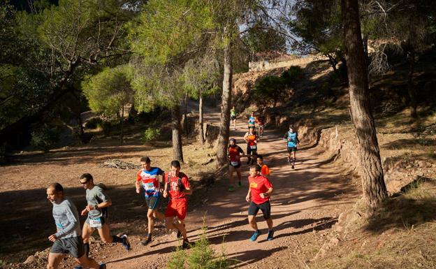 Carrera de los árboles y los castillos: la unión perfecta del deporte y naturaleza