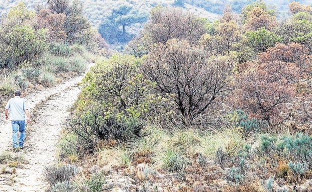 Un proyecto para recuperar el cauce del río Monnegre como atractivo turístico