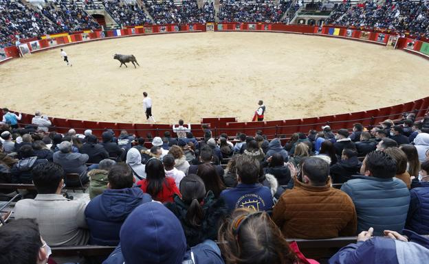 Romántica pedida de mano en plena plaza de toros de Valencia