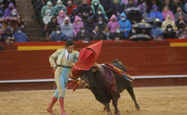 Juan Roig y las almohadillas