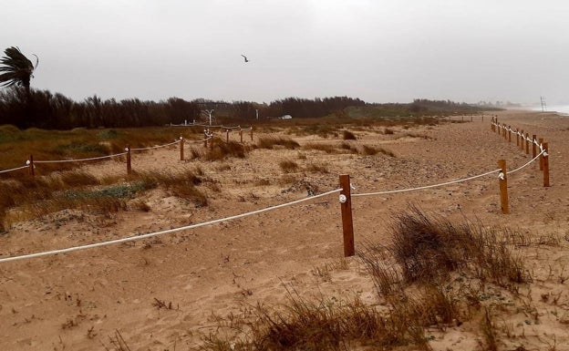 Las zonas cerradas se amplían en las playas de la Albufera para proteger las dunas