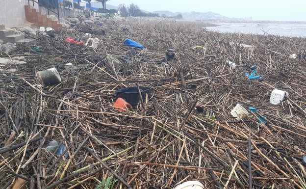 Ríos al límite y cañas en las playas en la Ribera