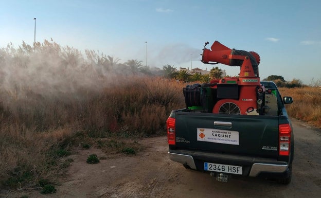 Sagunto intensifica la lucha contra los mosquitos