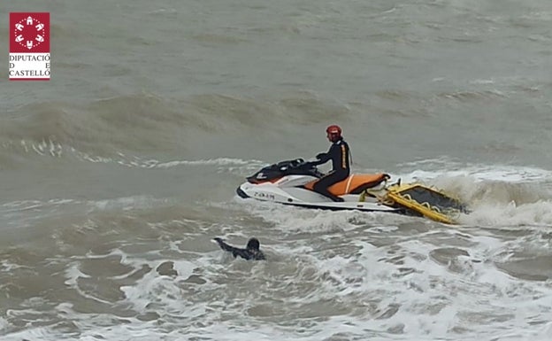 Un hombre mata a otro de varios disparos y arroja el cadáver al mar en Vinaròs